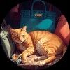 orangecat_